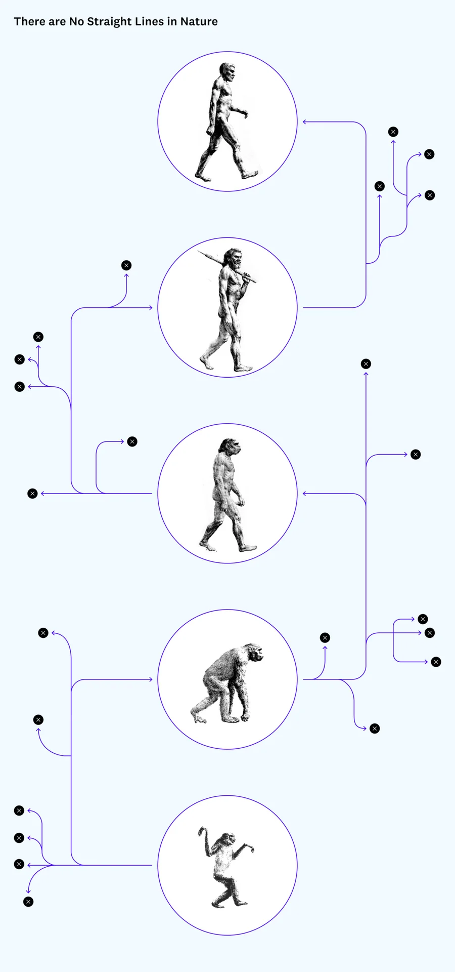 What appears as directed, step-wise progress is anything but…